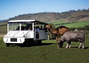 Zoo Doo Wildlife Park - Lennox Head Accommodation 2