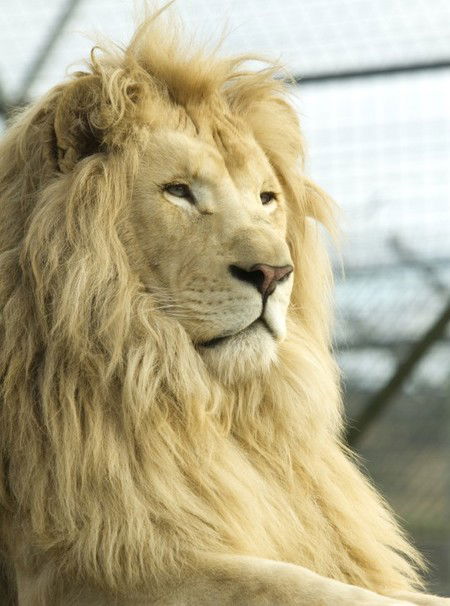 Zoo Doo Wildlife Park - Lennox Head Accommodation 3