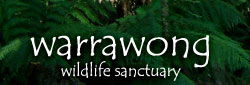 Inglewood SA Lennox Head Accommodation