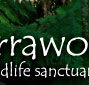 Warrawong Wildlife Park - Lennox Head Accommodation
