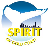 Spirit of Gold Coast Whale Watching - Lennox Head Accommodation