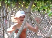 Amaze 'n' Place - Lennox Head Accommodation 2