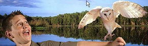 Territory Wildlife Park - Lennox Head Accommodation 2