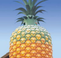 The Big Pineapple - Lennox Head Accommodation