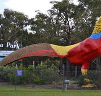 Gumbuya Park - Lennox Head Accommodation