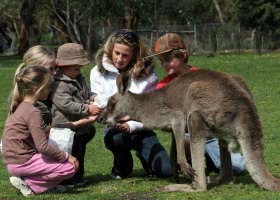 Gumbuya Park - Lennox Head Accommodation 1