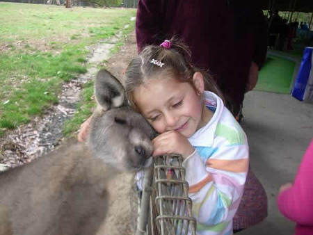 Gumbuya Park - Lennox Head Accommodation 3