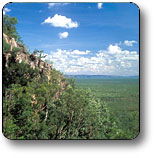 Kakadu National Park - Lennox Head Accommodation 2