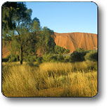 Curtin Springs NT Lennox Head Accommodation