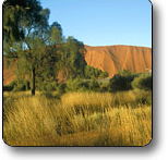 Uluru - Kata Tjuta National Park - Lennox Head Accommodation