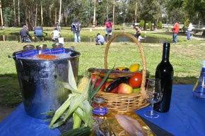 Buxton Trout And Salmon Farm - Lennox Head Accommodation 2