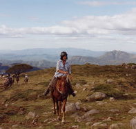 High Country Horses - Lennox Head Accommodation