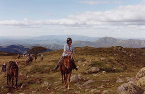 High Country Horses - Lennox Head Accommodation 0