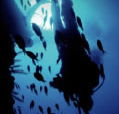 Scuba World - Lennox Head Accommodation