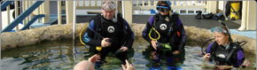Scuba World - Lennox Head Accommodation 2