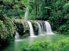 Hidden Valley Tours - Lennox Head Accommodation 2