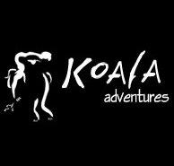 Koala Adventures - Lennox Head Accommodation