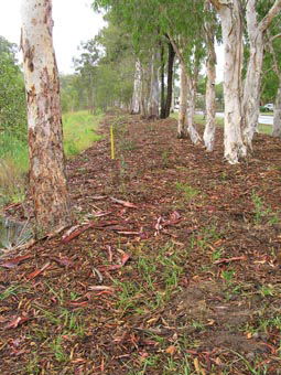 Kumbartcho Sanctuary - Lennox Head Accommodation 1