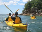 Sydney Harbour Kayaks - Lennox Head Accommodation 1