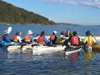 Sydney Harbour Kayaks - Lennox Head Accommodation 2
