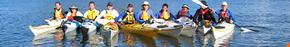 Sydney Harbour Kayaks - Lennox Head Accommodation 3