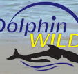 Dolphin Wild - Lennox Head Accommodation
