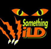 Something Wild - Lennox Head Accommodation