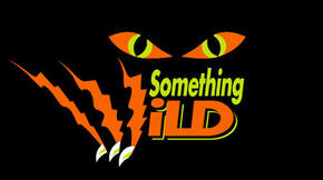 Something Wild - Lennox Head Accommodation 0