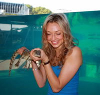 Crocosaurus Cove - Lennox Head Accommodation