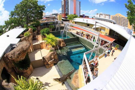 Crocosaurus Cove - Lennox Head Accommodation 1