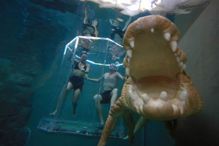 Crocosaurus Cove - Lennox Head Accommodation 3