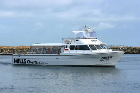 Mills Charters Fishing And Whale Watch Cruises - Lennox Head Accommodation 1