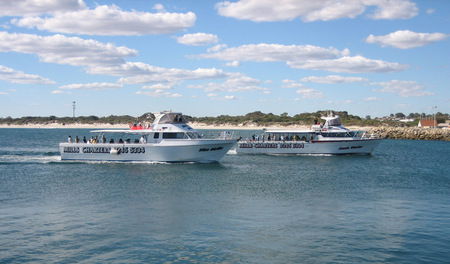 Mills Charters Fishing And Whale Watch Cruises - Lennox Head Accommodation 2
