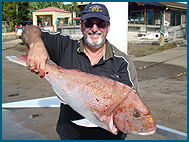Odyssey Charters - Lennox Head Accommodation 1