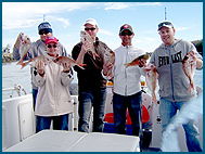 Odyssey Charters - Lennox Head Accommodation 2