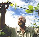 Barossa Experience Tours - Lennox Head Accommodation