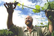 Barossa Experience Tours - Lennox Head Accommodation 0