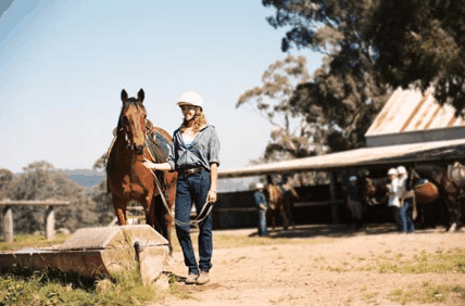 Watsons Trail Rides - Lennox Head Accommodation 0