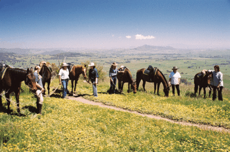 Watsons Trail Rides - Lennox Head Accommodation 1