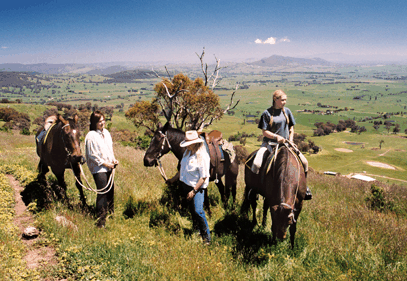Watsons Trail Rides - Lennox Head Accommodation 2