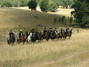McCormacks Mountain Valley Trail Rides - Lennox Head Accommodation