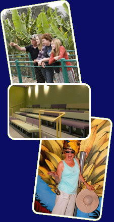 Big Banana - Lennox Head Accommodation 2
