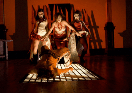 Zen Zen Zo Physical Theatre - Lennox Head Accommodation 1