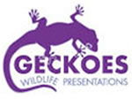 Geckoes Wildlife Presentations - Lennox Head Accommodation 3