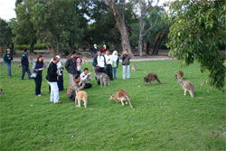 Caversham Wildlife Park - Lennox Head Accommodation 2