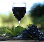 Lion Mill Vineyards - Lennox Head Accommodation