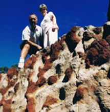 Mystery Craters - Lennox Head Accommodation 2