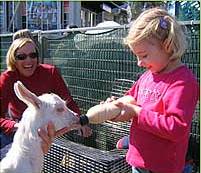 The Sun Herald Sydney Family Show - Lennox Head Accommodation 2