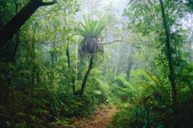 Canungra QLD Lennox Head Accommodation