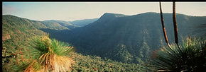 Lamington National Park And OReillys - Lennox Head Accommodation 1